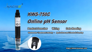 KWS-750C Online-PH-Stickstoffsensor – Übersicht, Verkabelung und Datenauslesung