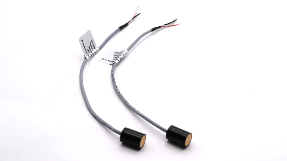Ultraschalltransduzorsensor IP68 200KHz mit 22cm Kabellange für die Flüssigkeitsmessung